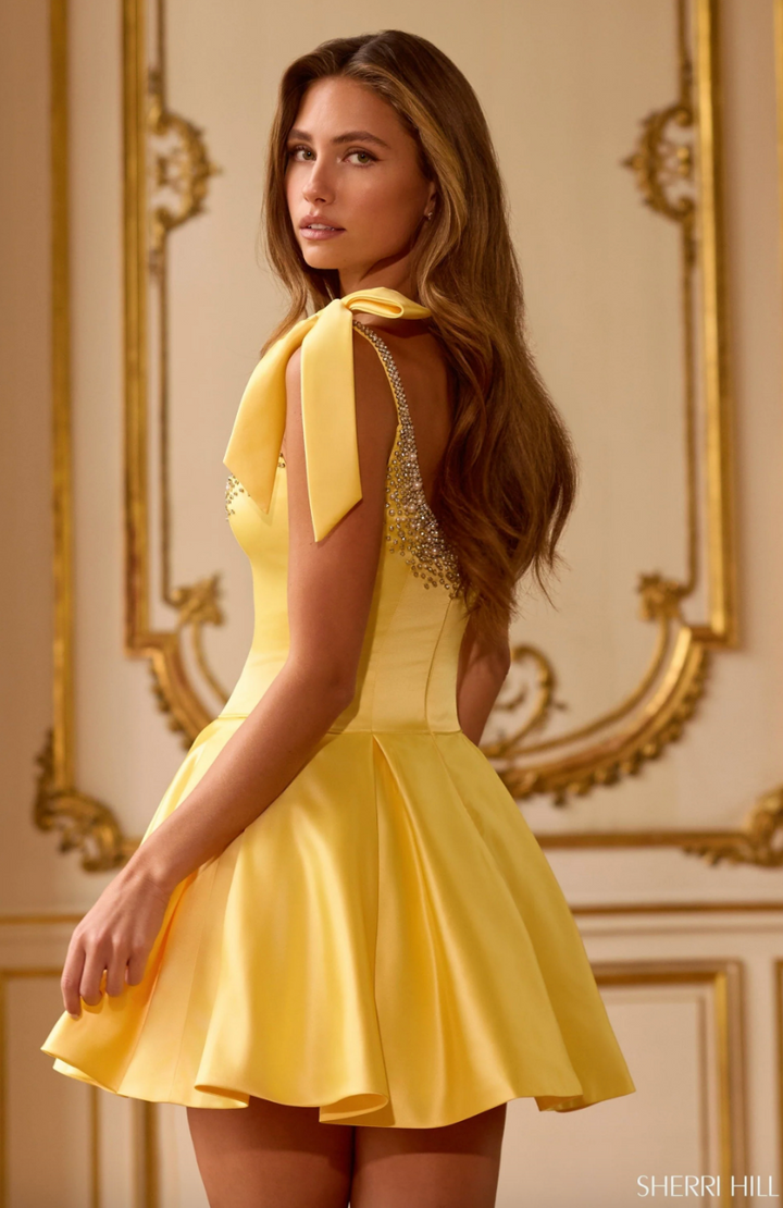 Sherri Hill 58066